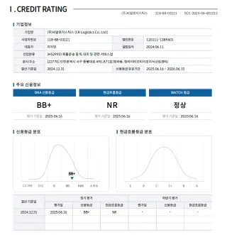 신용등급 BB+ (2025년 6월 기준)